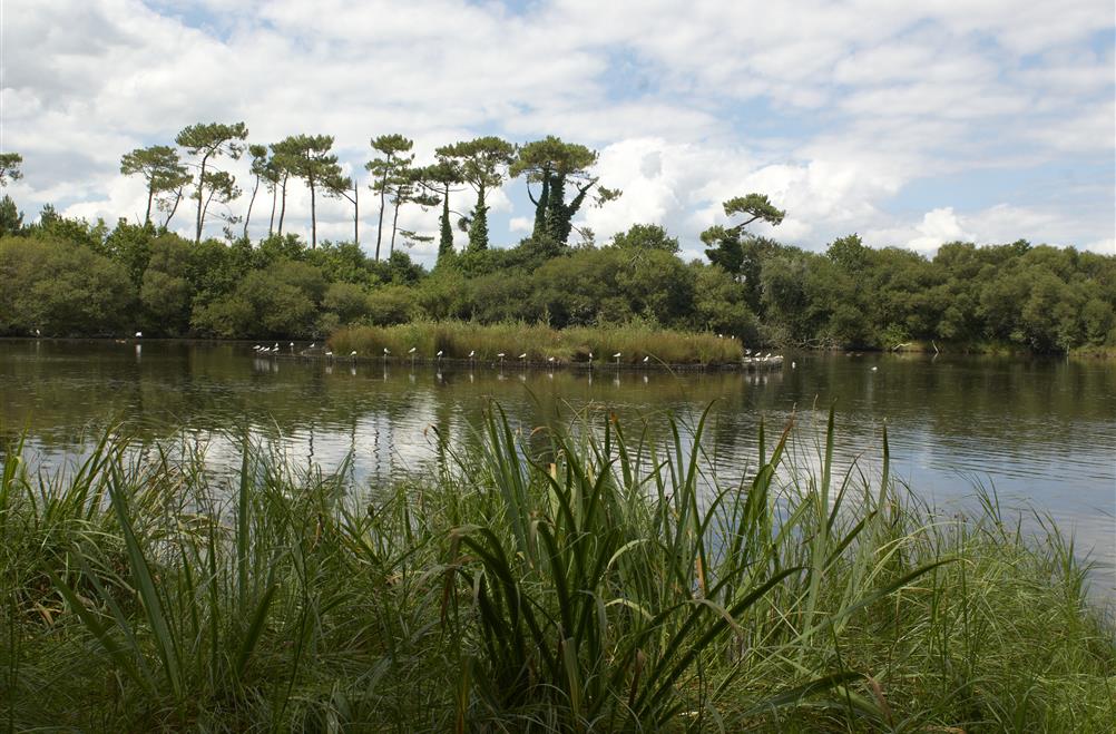 Espace naturel protégé en bordure du camping Kost-ar-moor