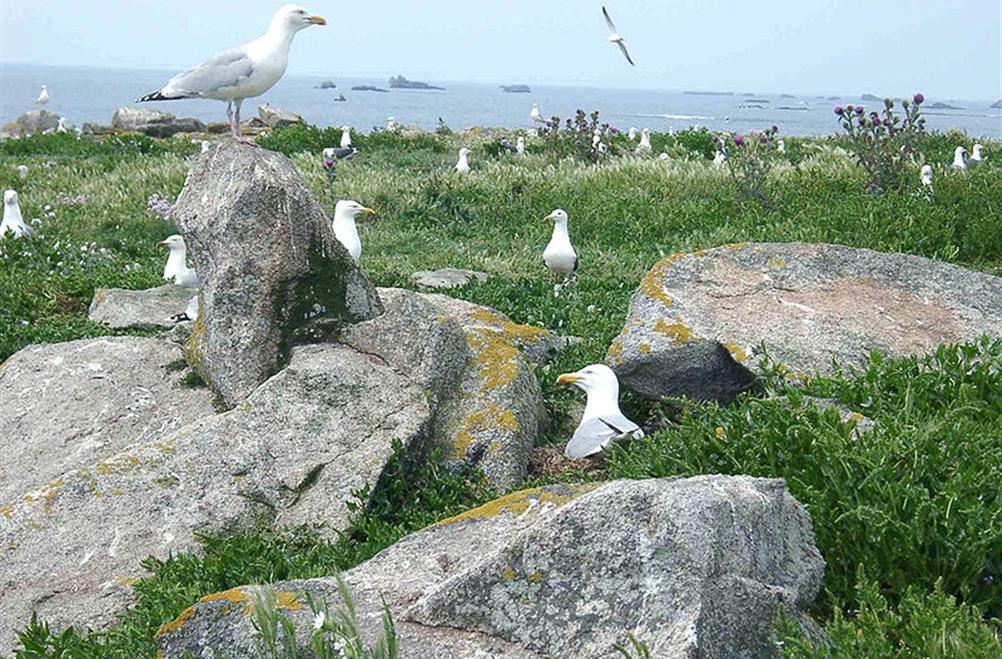 Archipel des Glénan à partir du Camping Kost Ar Moor Fouesnant