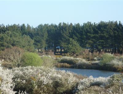 Location de vacances à Fouesnant Finistere 29