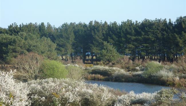 Location de vacances à Fouesnant Finistere 29