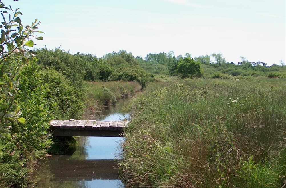 Espace naturel protégé en bordure du camping Kost-ar-moor