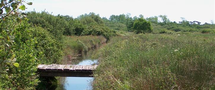 Espace naturel protégé en bordure du camping Kost-ar-moor