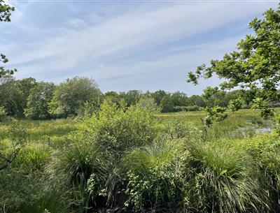 Polder de Mousterlin - Fouesnant