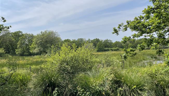 Polder de Mousterlin - Fouesnant